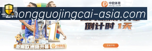 登录器